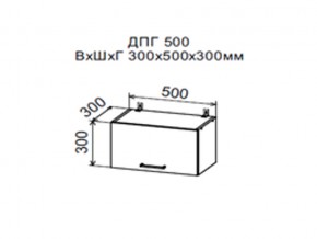 Шкаф верхний ДПГ500 горизонтальный в Миассе - miass.магазин96.com | фото