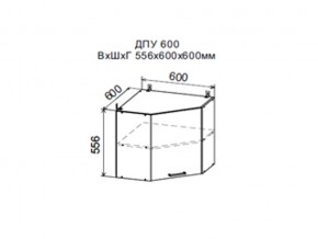 Шкаф верхний ДПУ600 угловой в Миассе - miass.магазин96.com | фото